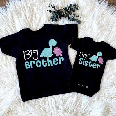 Big Br Littler Sister Dinosaur Sibling Matching Shirts