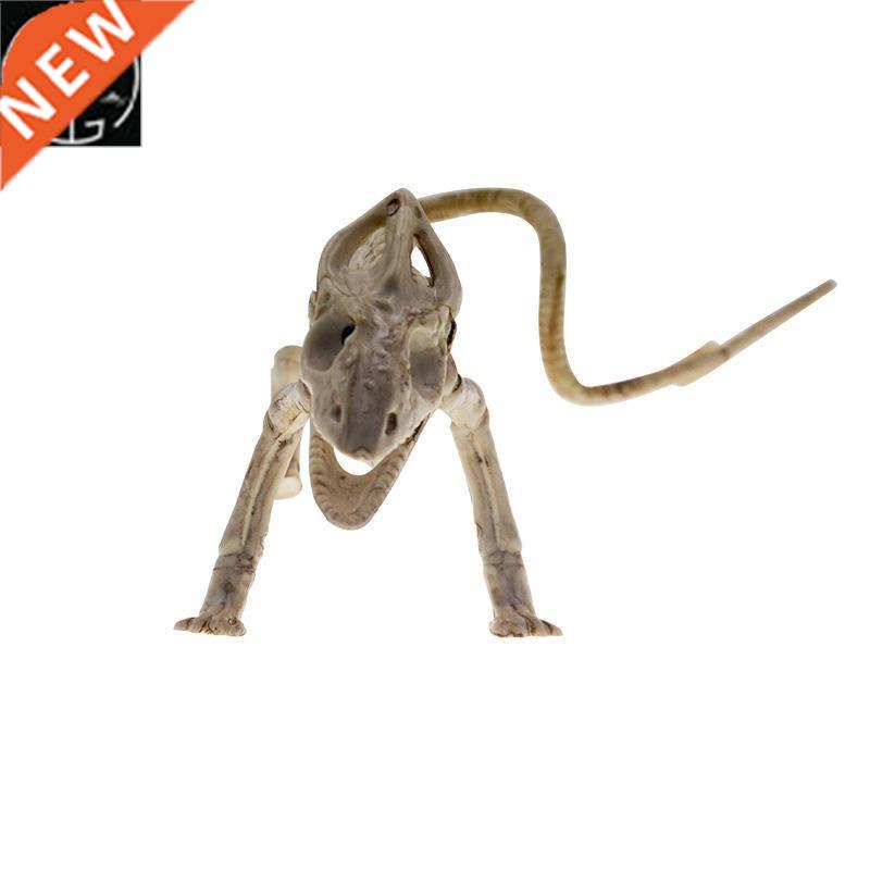 All Saints Terror Props Lizard Skeleton Ghost Festival Dress