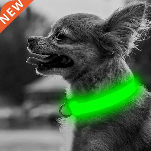 Adjustable LED Dog Collar Glowing Anti-lost Night Safety Pet