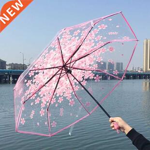 Transparent Umbrella Woman Sakura For Girls Large Children F