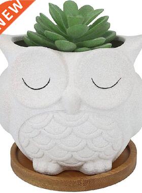 Gemseek Cute Owl Succulent Plnter Pot with Dringe Try