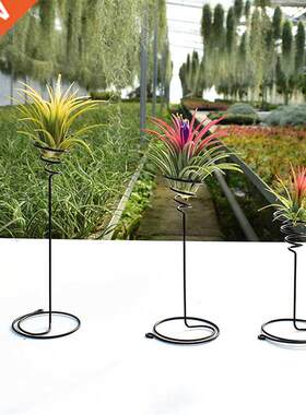 3PCS Creative Black Iron Air Pineapple Base Plant Flower Pot