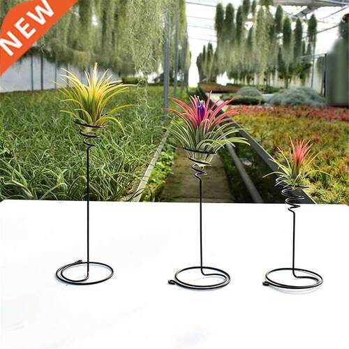 3PCS Creative Black Iron Air Pineapple Base Plant Flower Pot