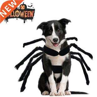 Halloween Spider Clothes For Pet Dog Cat Spider Costumes