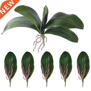 Looking Artificial Real Roots Orchids Phalaenopsis Leaves