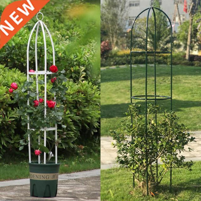 Plants growing trellis