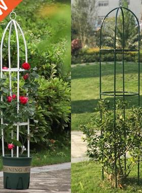 Plants growing trellis