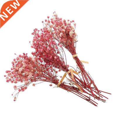 Flower Bouquet Dried Breath Gypsophila Flowers Wedding