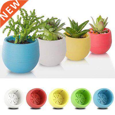Colorful Round Plastic Flower Pot Plant Planter Garden Home