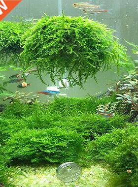 Moss Ball Filter Filtration Fish Aquatic Pet Supplies Aquari
