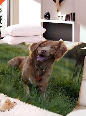 Thn Fleece Blanket Cute Anmal Pug Dog Prnt Soft Comfort