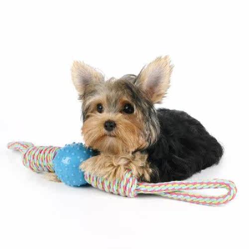 Pet Knot Toy Fashion Interactive Bite Resistant Pet Toy