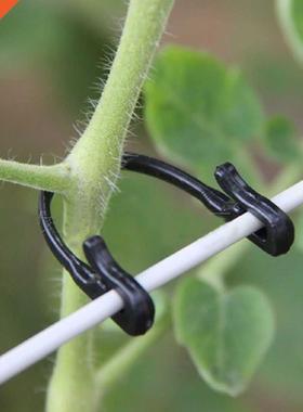 100Pcs Tomato s Trellis Garden Vegetable Binder Twine Plan