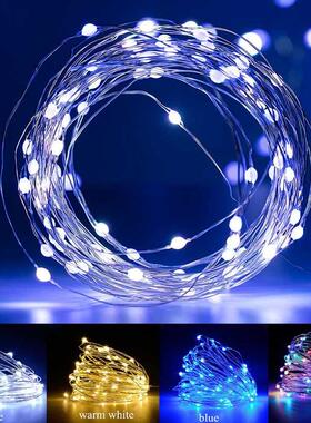 Christmas LED Fairy Lights USB/Battery Festoon Light Living