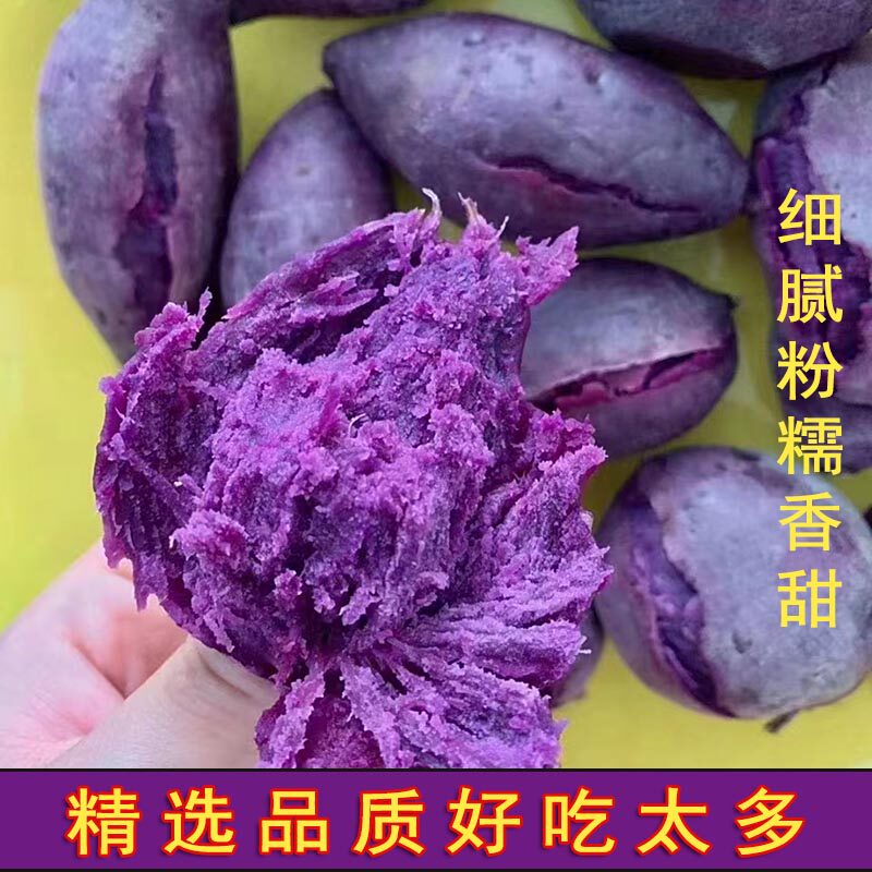 正宗紫心沙地紫薯新鲜农家自种板栗小红薯现挖地瓜山芋蔬菜紫罗兰