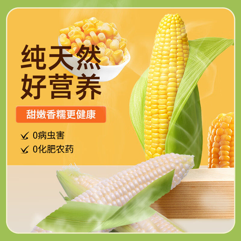 【沙漠原种玉米】甘肃新鲜香糯甜大玉米棒 好吃真空包装早餐低脂,水产肉类/新鲜蔬果/熟食,新鲜玉米,淘宝优惠券,粉丝福利购,淘宝优惠卷