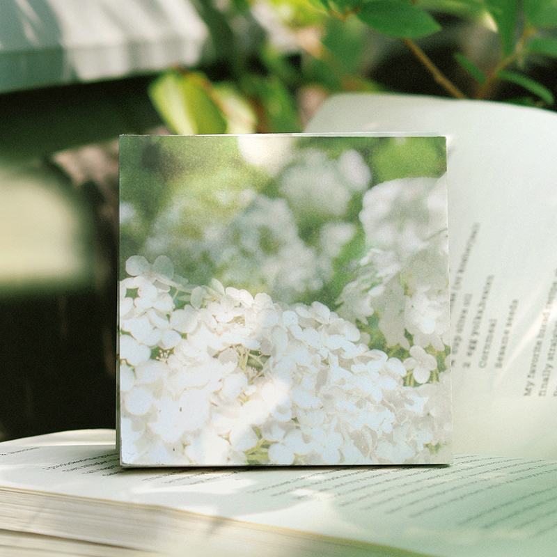 NOTEFOR晴光浮影集便签