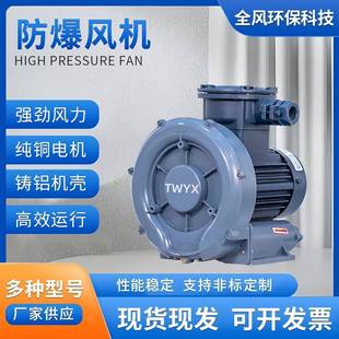 CT4防爆高压鼓风机 7.5油气输送防爆高压环形鼓风机EXDIIBT4