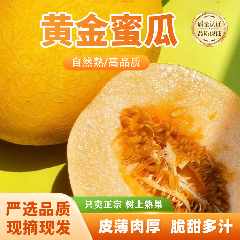陕西现摘黄金蜜瓜脆甜多汁哈密瓜