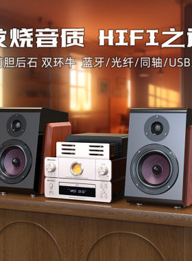 山水N6胆机CD组合音响套