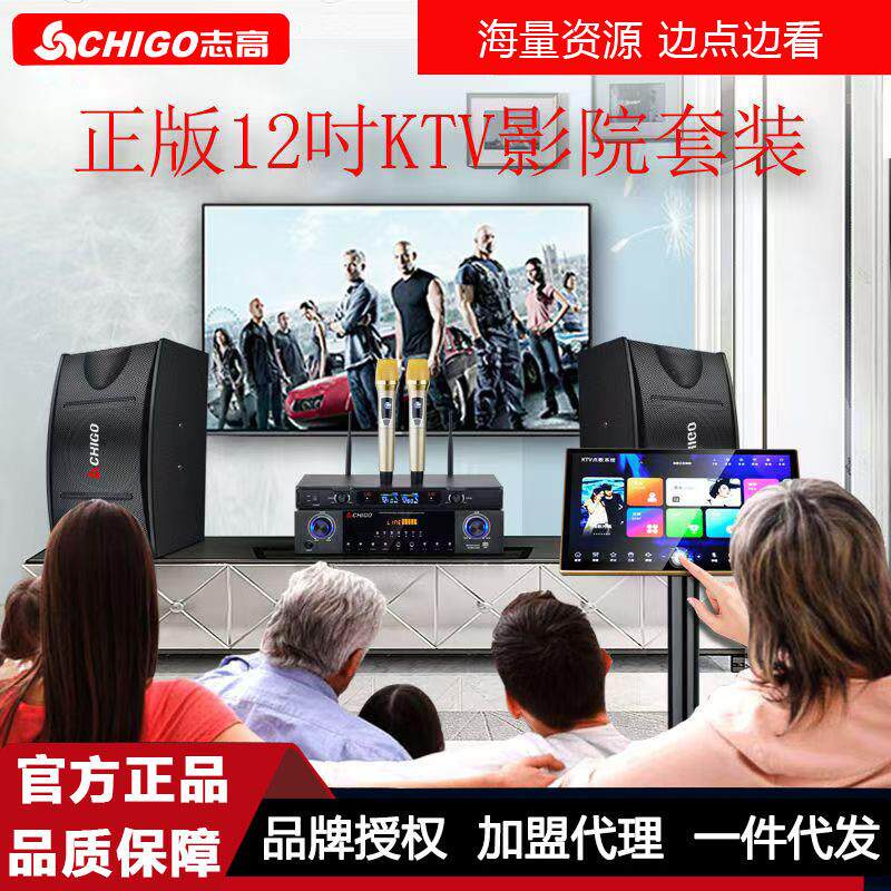 志高专业12寸家庭ktv音响