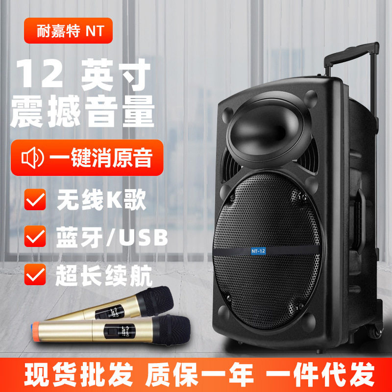 耐嘉特12寸广场舞音响专