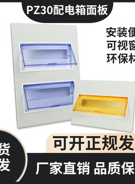 pz30配电箱盖板家用强电箱盖