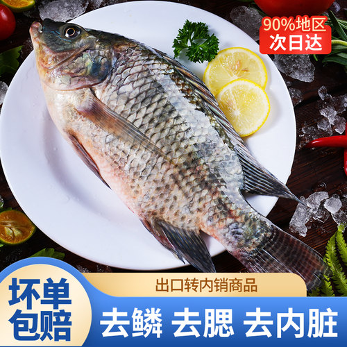 国联小霸龙三去罗非鱼去鳞去腮