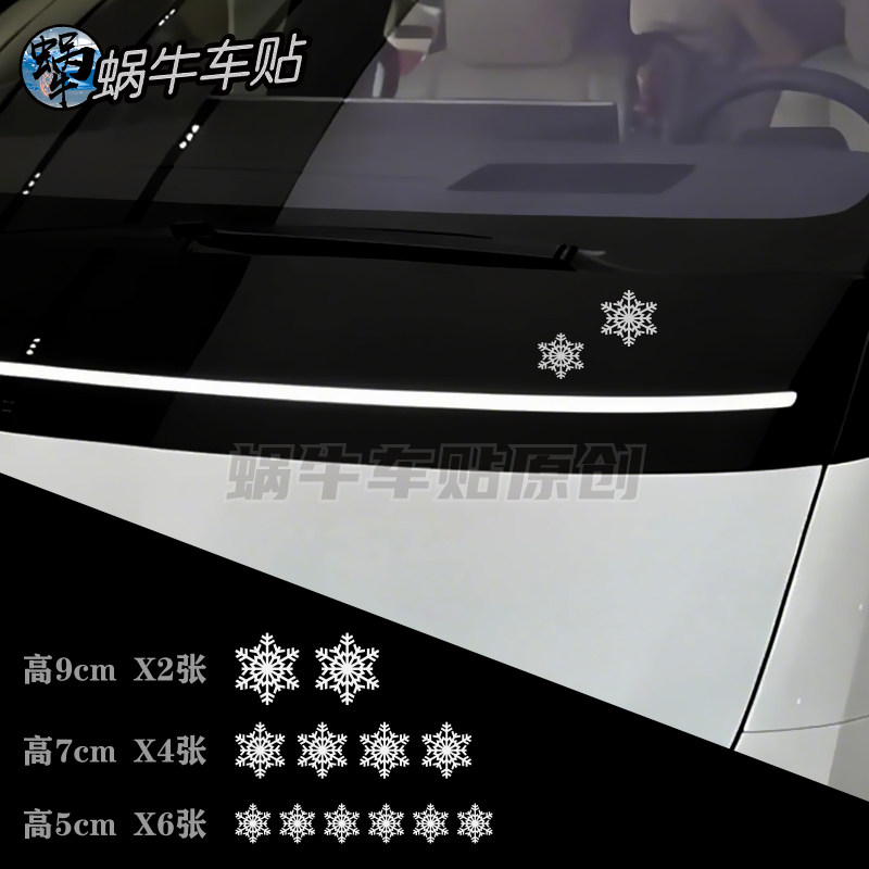 2026新款雪花贴纸装饰画玻
