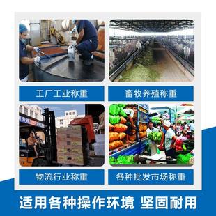 上海耀华电子平台小地磅0 20吨工厂物流电子秤加厚小型地磅称猪牛