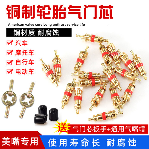 美嘴纯铜气门芯针配件