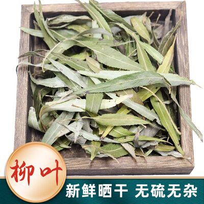 山区特产晒干柳树叶柳枝叶包邮新鲜柳叶杨柳叶垂柳叶柳叶茶中药材