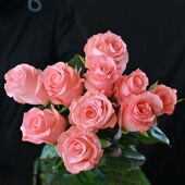 粉色戴安娜玫瑰鲜花a级云南基地直发鲜切花家庭插花同城速递水培