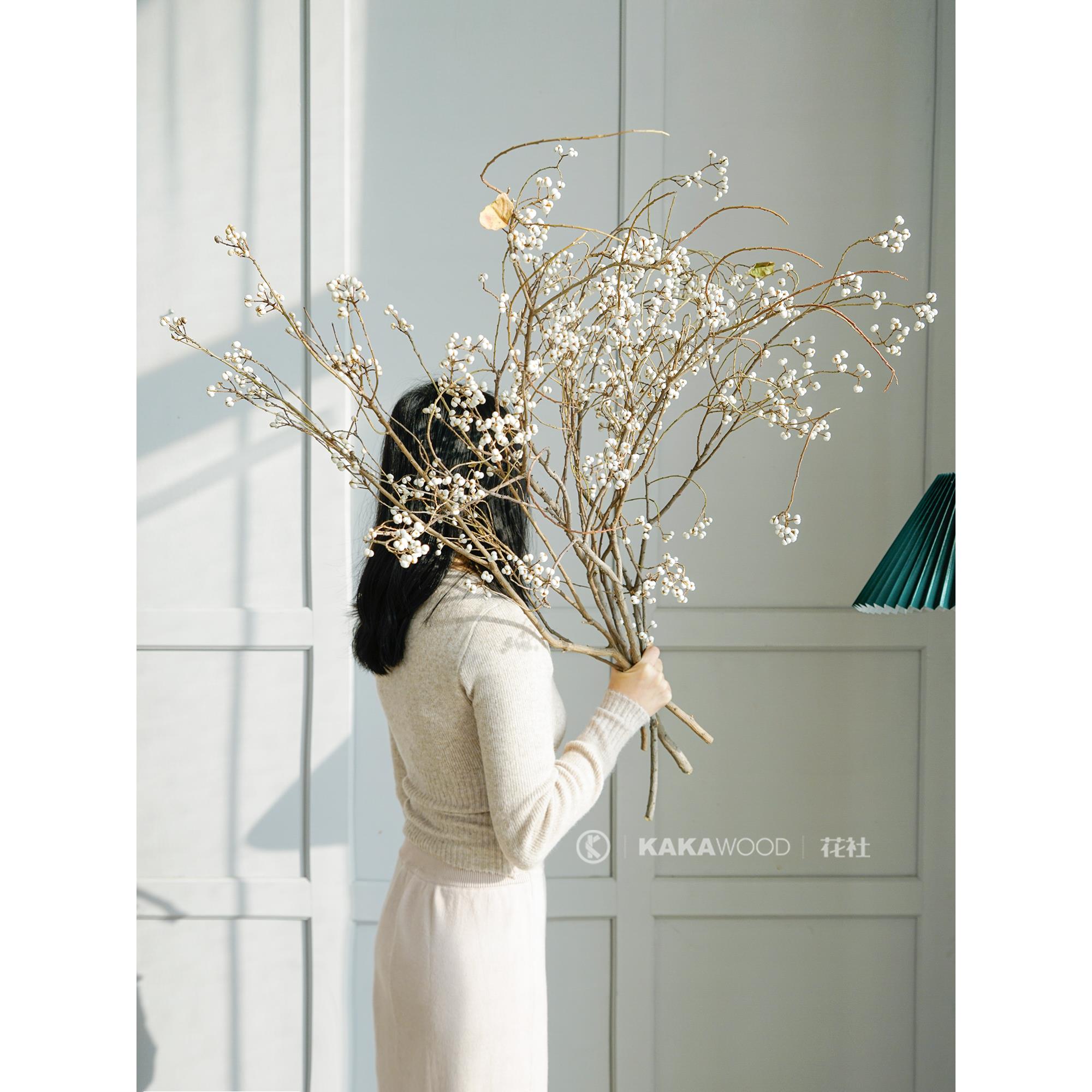 北欧ins民宿装饰天然树枝干花干果插花花束搭配乌桕果装饰小白果