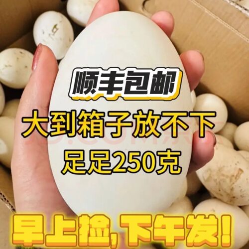 12枚装单枚重220克正宗双黄狮头土鹅蛋农家散养现捡现发当天新鲜