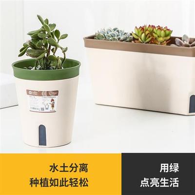 塑料懒人自动吸水捕蝇草植物专用自吸水花盆防烂根水培绿植绿萝盆