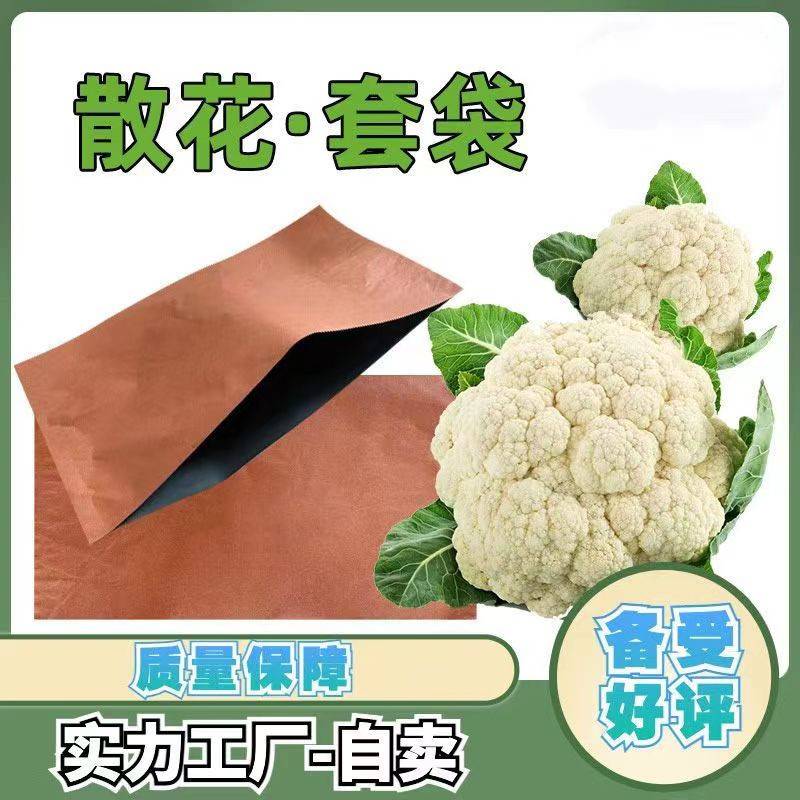 整件2500个防水防虫防霜冻花菜散花有机套袋袋子纸袋子菜花松花套