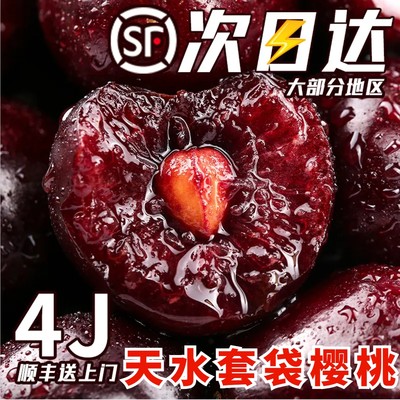 【现货速发】甘肃天水大樱桃顺丰
