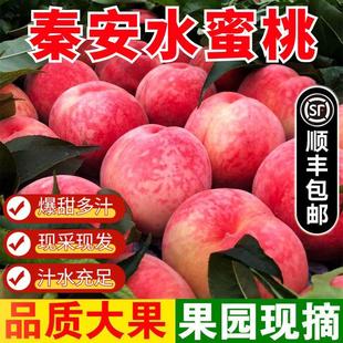 包郵 脆甜桃子時令整箱大桃子孕婦毛桃順豐 秦安水蜜桃新鮮水果當(dāng)季