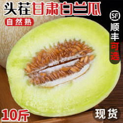 白兰瓜戈壁银帝瓜州甜瓜软糯网纹冰淇淋玉菇甜瓜甘肃甜瓜新鲜水果