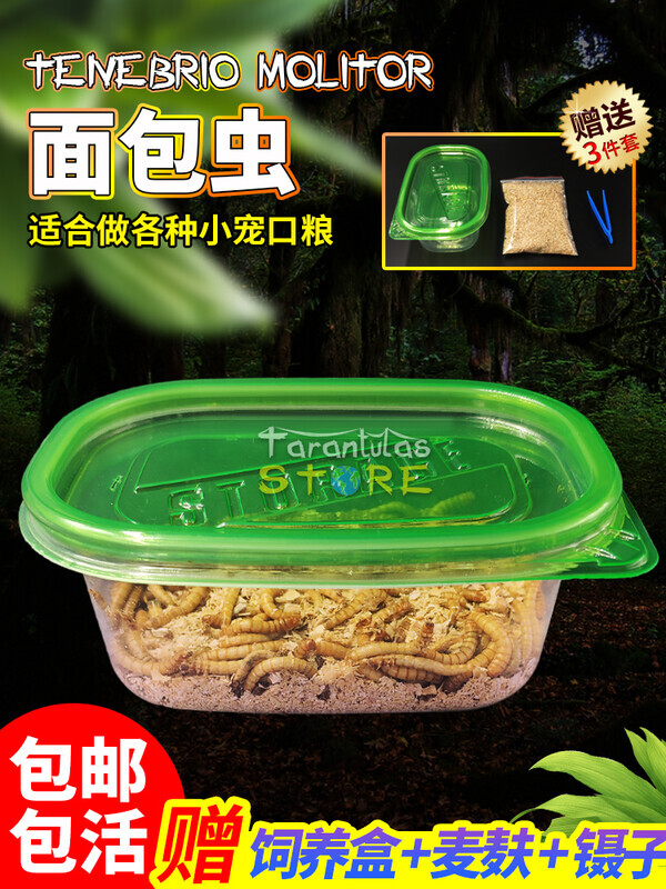 面包虫黄粉虫活体蜘蛛蝎子乌龟守宫角蛙鸟热带鱼金鱼活饵饲料