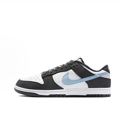 Nike Dunk 板鞋 防滑耐磨复古运动轻便 黑白色IB3079-100 新密仓