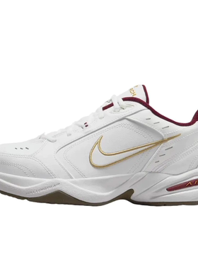 Nike Air Monarch IV 缓震透气 ib4607-171 四川19仓