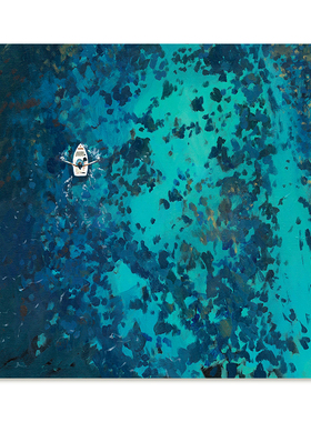 【特惠捡漏】Nina Brooke复刻艺术版画蓝绿色大海景游泳装饰画芯