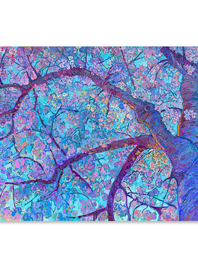 【特惠捡漏】Erin Hanson油画家复刻艺术版画印象派风景装饰画芯