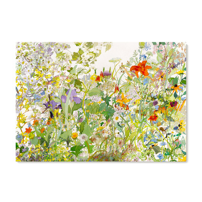 【特惠捡漏】Joan Becker水彩画家复刻艺术版画花鸟植物装饰画芯