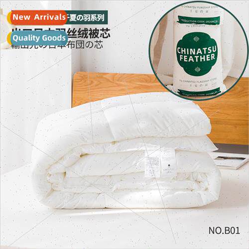 B01 Japan down quilt core hotel special cotton quilt single