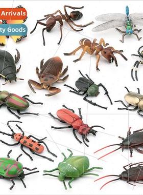 Wild Butterfly Spider Beetle Ant Dragonfly Cockroach Cockroa