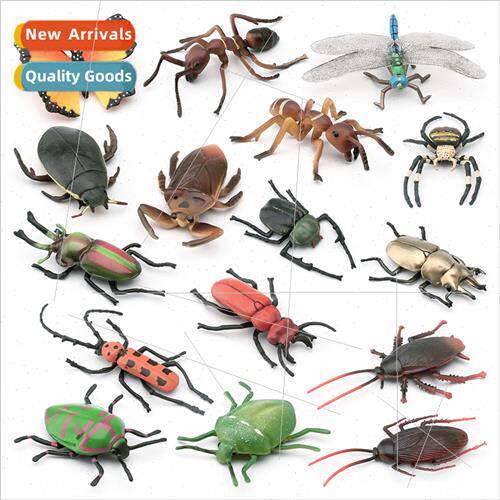 Wild Butterfly Spider Beetle Ant Dragonfly Cockroach Cockroa
