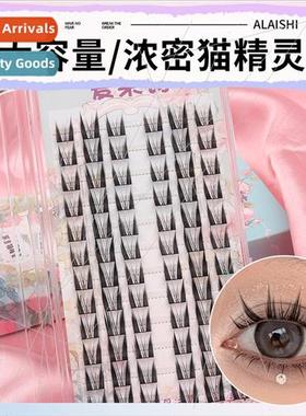 1 ngle Box Collection Natural False Eyelash Glue  -Adhesive